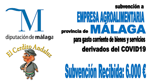 Subvención Diputación de Málaga