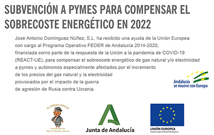 Subvención Recibida